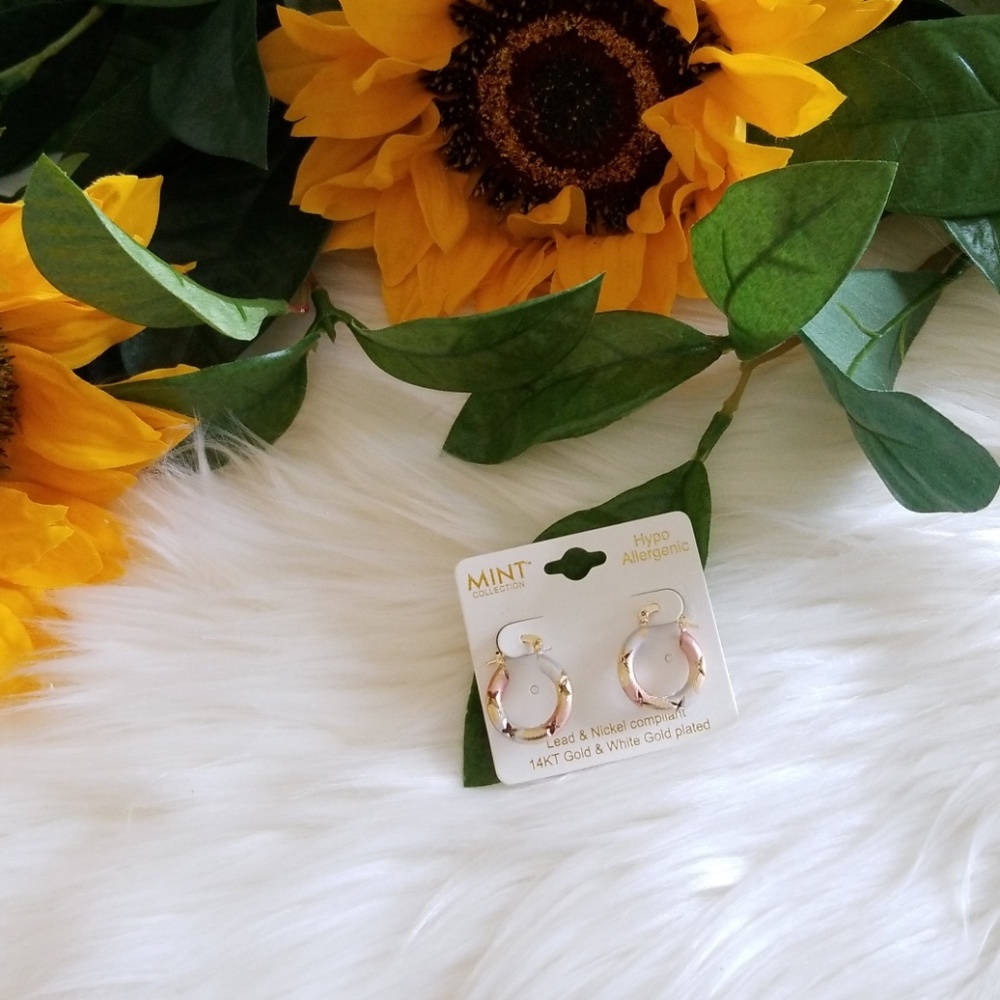 Mint Collection 14KT Gold Plated Hoop Earrings